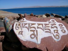 藏語300句學習教程