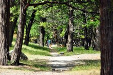 先破我執 後破法執 (宣化上人)