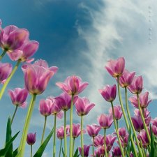 淨空法師：財源要像水一樣會流，這流出去，那就流進來