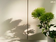 《星雲大師講演集》－人生十問