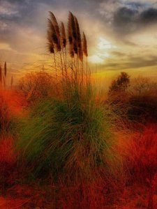 份外之財不可貪 (夢參老法師)